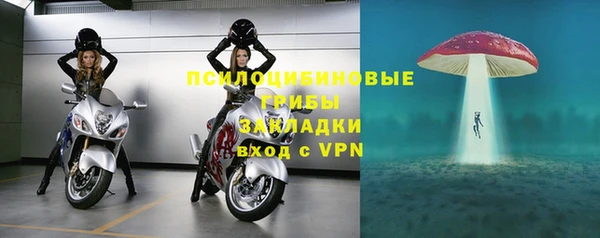 молекула духа Беломорск