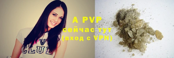 ECSTASY Тихорецк