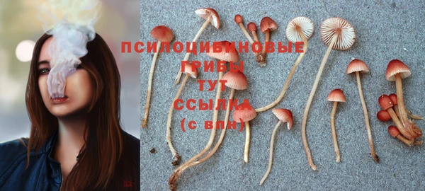 apvp Белоозёрский