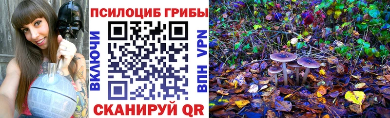 Галлюциногенные грибы MAGIC MUSHROOMS Волосово